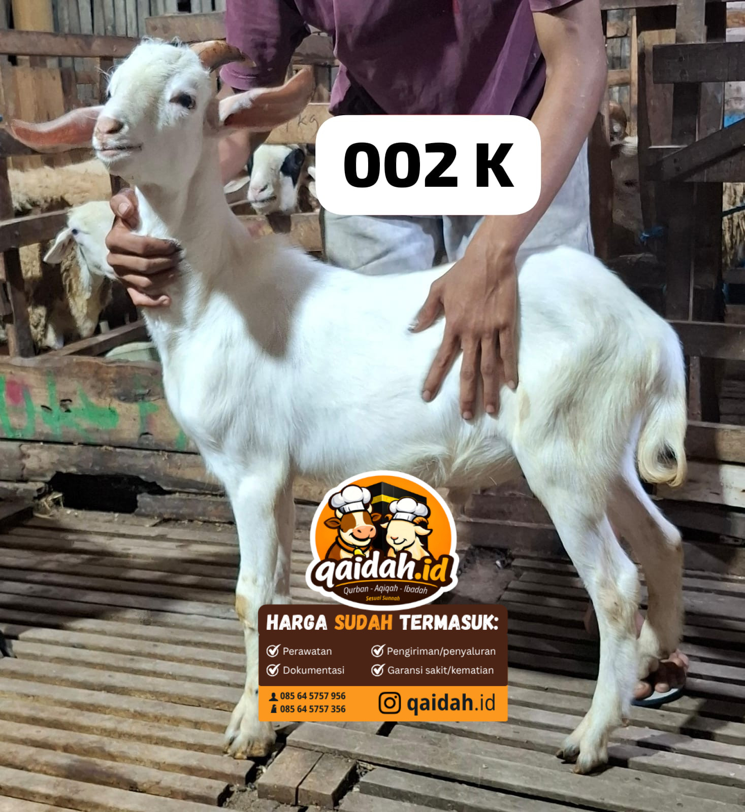 002 K